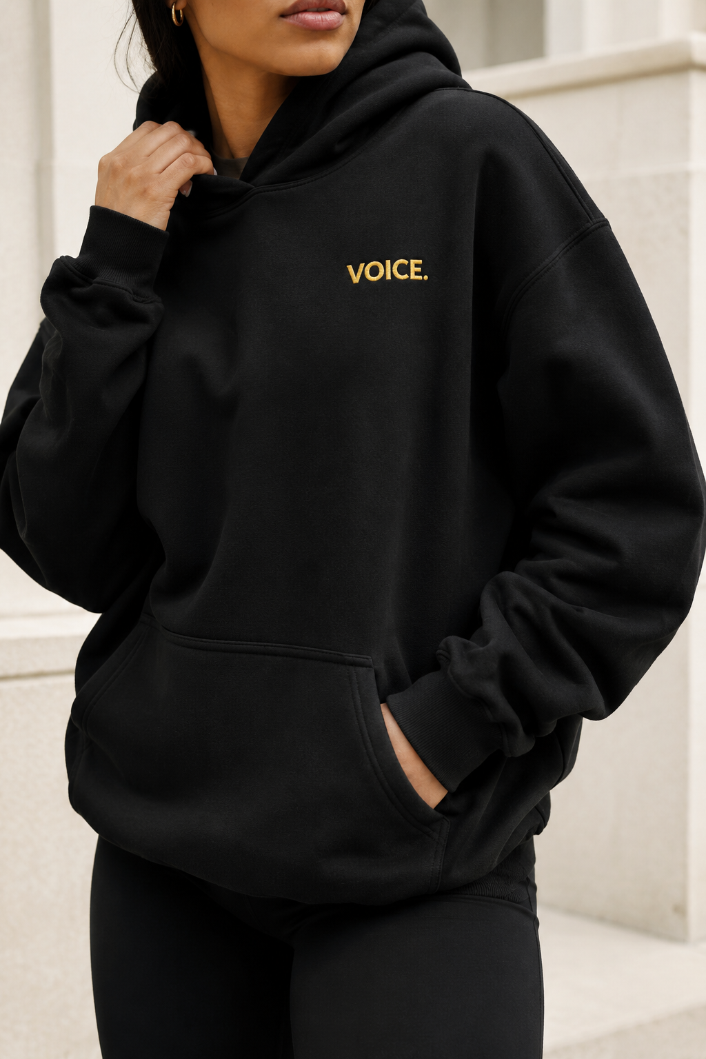 Register. Organize. Vote. Premium Hoodie