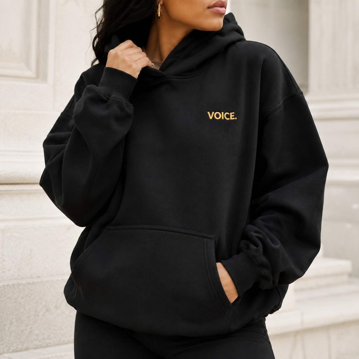 Register. Organize. Vote. Premium Hoodie