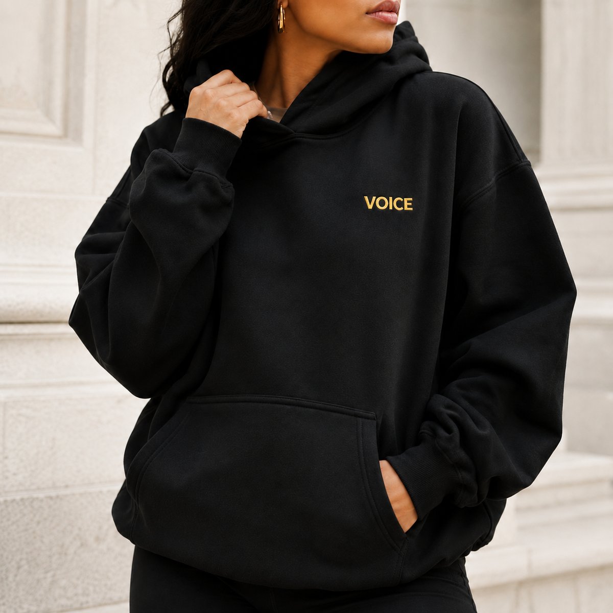Register. Organize. Vote. Premium Hoodie