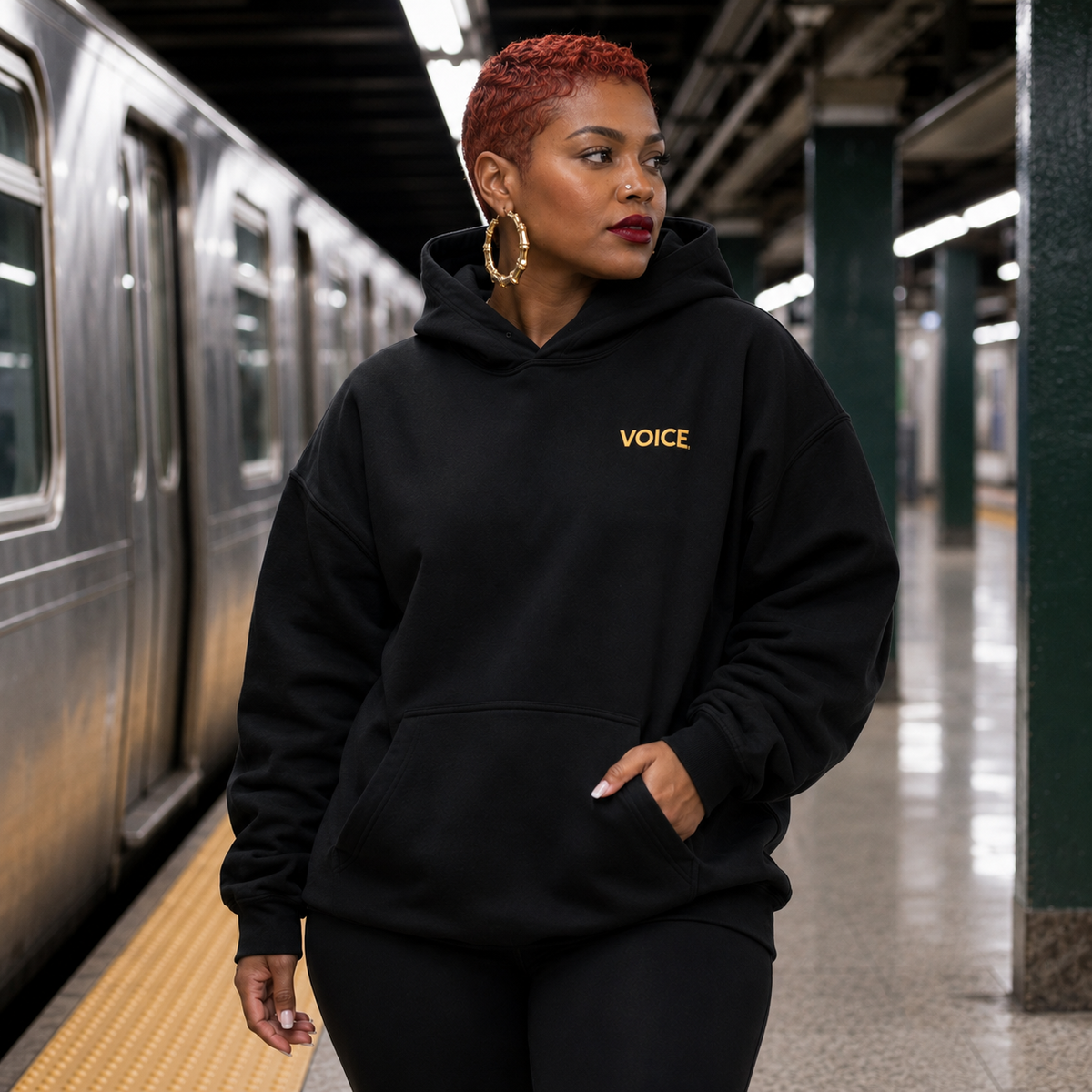 Register. Organize. Vote. Premium Hoodie